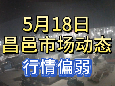 5月18日 琨福市場大姜價格（行情偏弱） (101播放)