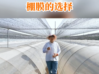 生姜種植要點之棚膜的選擇 (86播放)