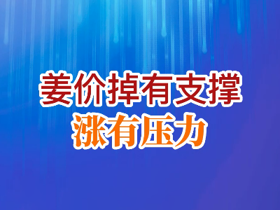 姜價(jià)：掉有支撐 漲有壓力 ()
