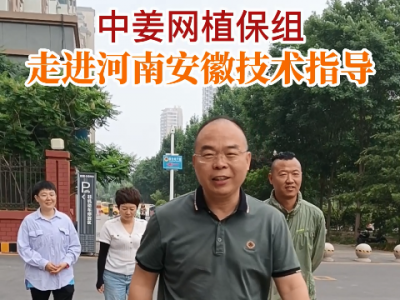 中姜網植保組走進河南安徽技術指導！ (63播放)