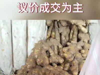 5月22日下午安丘黑埠子市場（議價成交） (144播放)