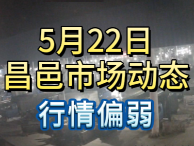 5月22日 琨福市場大姜價格（行情偏弱） (78播放)