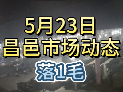5月23日 琨福市場(chǎng)大姜價(jià)格（落1毛） (103播放)