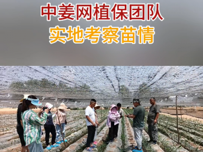 中姜網植保團隊實地考察苗情！ (95播放)