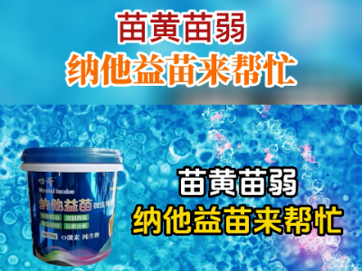 苗黃苗弱 納他益苗來幫忙 ()