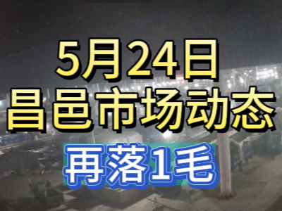 5月24日 琨福市場(chǎng)大姜價(jià)格（再落1毛） (109播放)