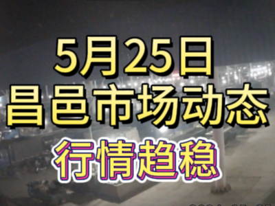 5月25日 琨福市場(chǎng)大姜價(jià)格（行情趨穩(wěn)） (97播放)
