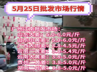 5月25日廣州江南批發市場生姜價格行情 (127播放)