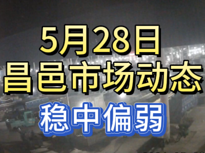 5月28日 琨福市場大姜價格（穩中偏弱） (120播放)