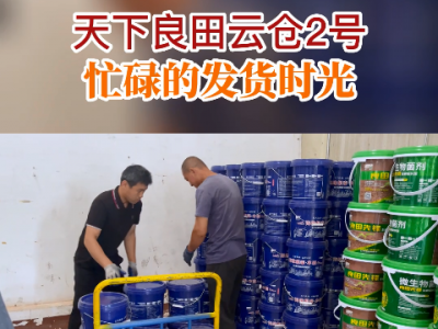 天下良田云倉2號忙碌的發貨時光 ()