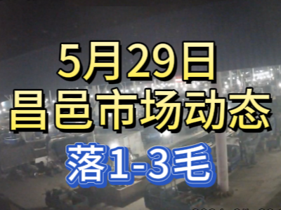 5月28日下午安丘黑埠子市場（下滑1毛） (76播放)