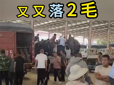 5月29日下午安丘黑埠子市場（又落2毛） (90播放)