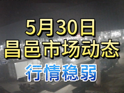 5月30日 琨福市場大姜價格（行情穩弱） (101播放)