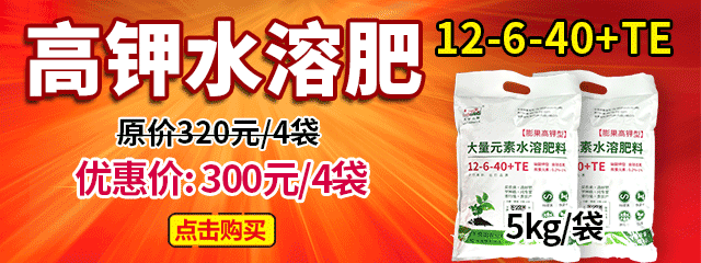 高鉀水溶肥12-6-40+TE