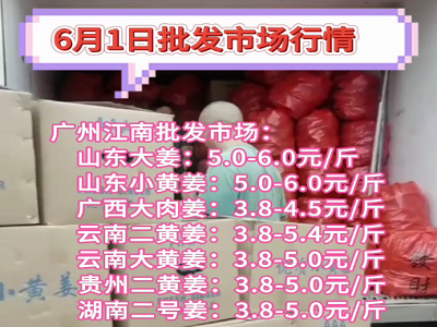 6月1日廣州江南批發市場生姜價格行情 (151播放)