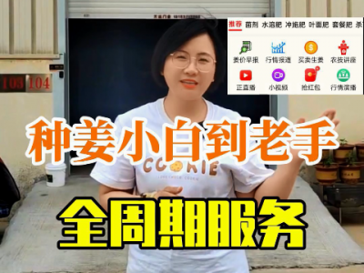 種姜小自到老手--全周期服務 (83播放)
