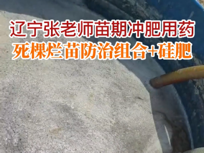 遼寧張老師苗期沖肥用藥 (93播放)