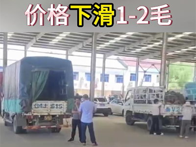 6月3日下午安丘黑埠子市場（落1-2毛） (101播放)