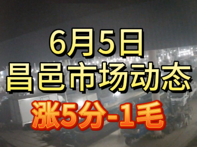 6月5日 琨福市場大姜價格（漲5分-1毛） (80播放)