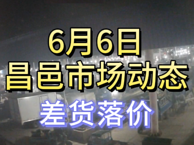 6月6日 琨福市場大姜價格（差貨落價） (91播放)
