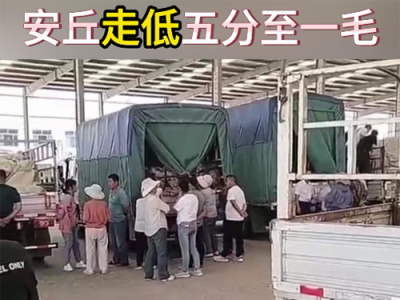 6月6日下午安丘黑埠子市場（落5分-1毛） (88播放)