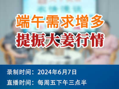 端午需求增多 提振大姜行情！ (87播放)
