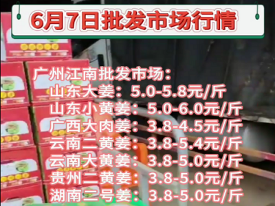 6月7日廣州江南批發市場生姜價格行情 (85播放)