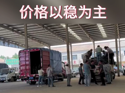 6月7日下午安丘黑埠子市場(chǎng)（以穩(wěn)為主） (72播放)