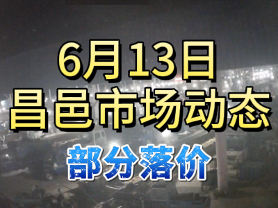 6月13日 琨福市場(chǎng)大姜價(jià)格（部分落價(jià)） (109播放)