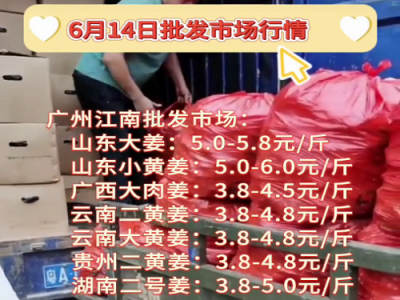6月14日廣州江南批發市場生姜價格行情 (116播放)