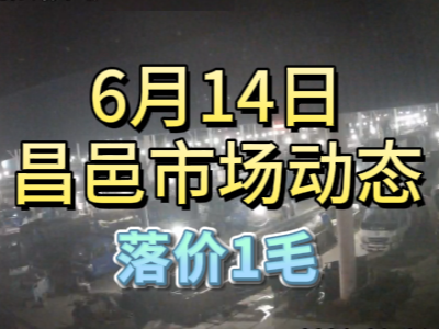 6月14日 琨福市場(chǎng)大姜價(jià)格（落價(jià)1毛） (90播放)