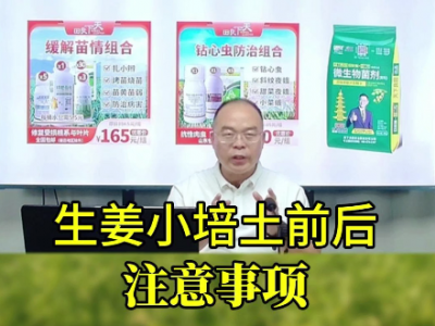 生姜小培土前后注意事項 ()
