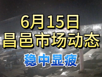 6月15日 琨福市場(chǎng)大姜價(jià)格（穩(wěn)中顯疲） (109播放)