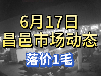 6月17日 琨福市場(chǎng)大姜價(jià)格（落價(jià)1毛） (92播放)