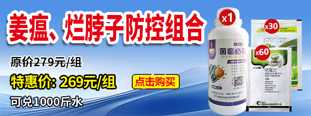 姜瘟、爛脖子防控組合 (1)