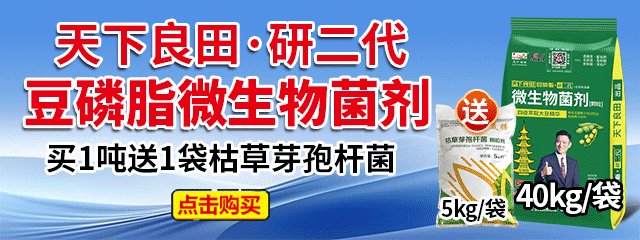 10億豆磷脂1噸
