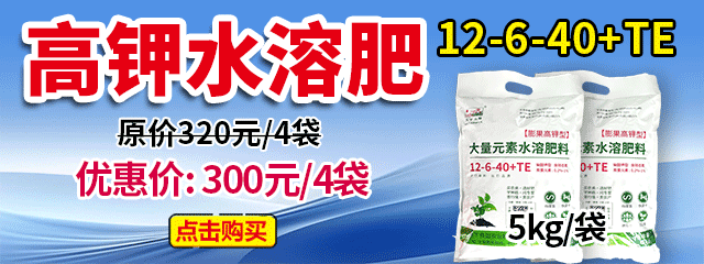 高鉀水溶肥12-6-40+TE