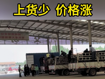 6月18日下午安丘黑埠子市場(chǎng)（貨少價(jià)漲） (91播放)