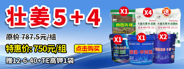 壯姜5+4