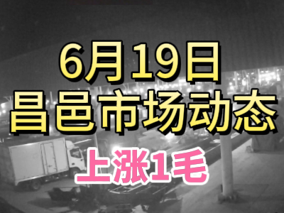 6月19日 琨福市場大姜價格（上漲1毛） (106播放)