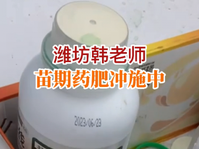 濰坊韓老師苗期藥肥沖施中...... ()