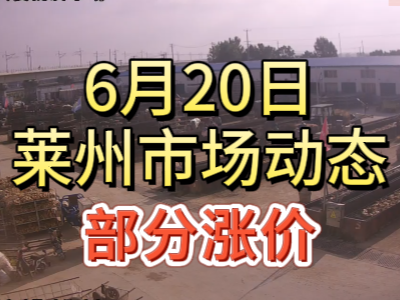 6月21日 萊州生姜交易實(shí)況（落1毛） (61播放)