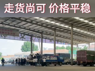 6月20日下午安丘黑埠子市場(chǎng)（價(jià)格平穩(wěn)） (65播放)