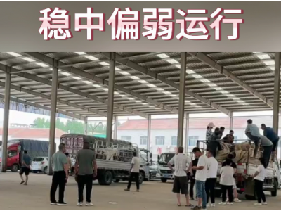 6月21日下午安丘黑埠子市場(chǎng)（穩(wěn)中偏弱） (67播放)