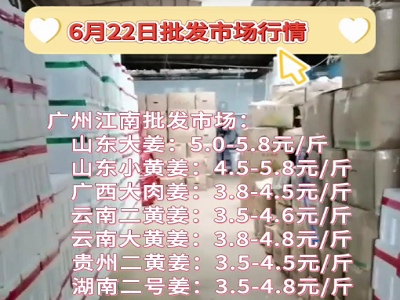 6月22日廣州江南批發市場生姜價格行情 (145播放)
