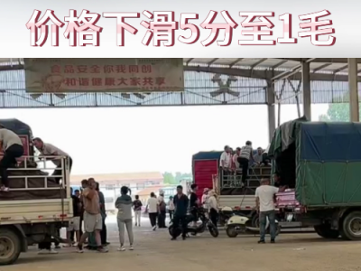 6月22日下午安丘黑埠子市場(chǎng)（落5分-1毛） (96播放)
