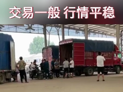 6月24日下午安丘黑埠子市場(chǎng)（行情平穩(wěn)） (100播放)