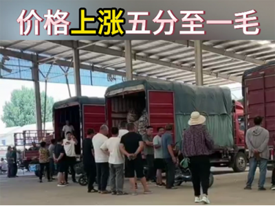 6月25日下午安丘黑埠子市場(chǎng)（漲價(jià)） (78播放)