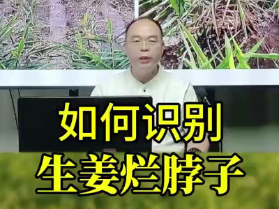 如何識別生姜爛脖子 ()