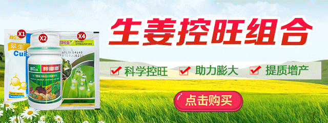 控旺組合
